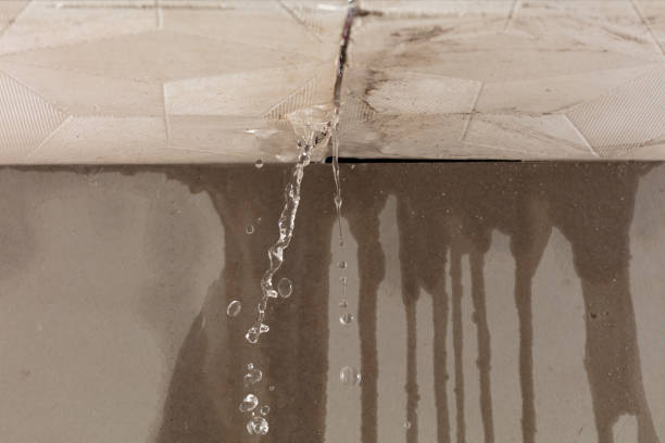 Professional Burst Pipe Cleanup technician working in Gouldsboro, ME